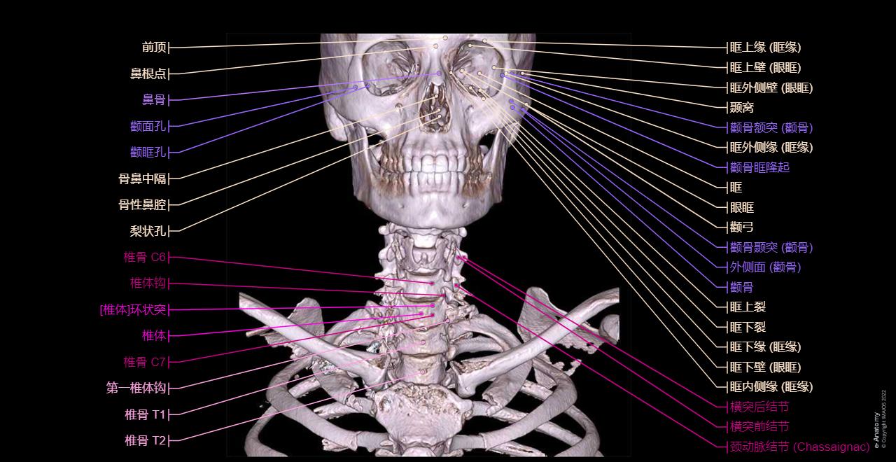 头和颈部 CT : 正常解剖 | e-Anatomy